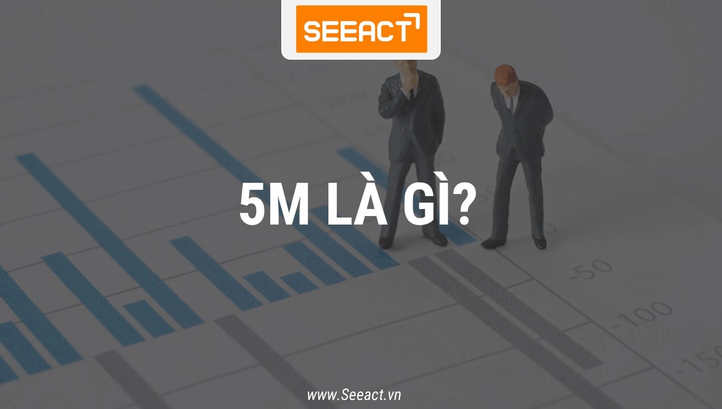 5m-la-gi